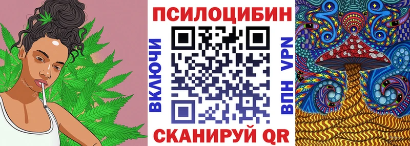 Псилоцибиновые грибы Psilocybe даркнет сайт Абинск